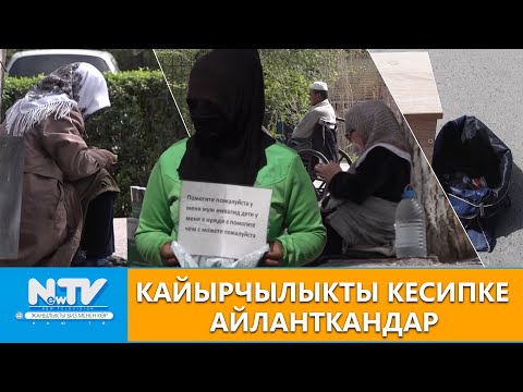 Видео: NewTV// Кайырчылыкты кесипке айланткандар // Эл билсин