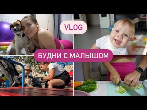 Видео: Будни с малышом 6| Сын научился ходить в 9 месяцев | Приучаю к горшку ребенка