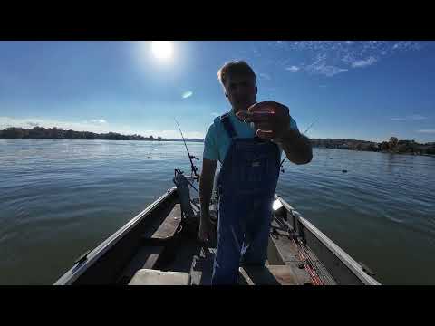 Видео: Ловля сома в первый день сезона дульнозарядных удочек