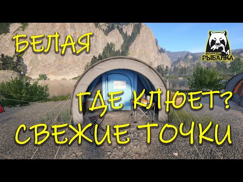Видео: Русская рыбалка 4. рр4. Белая. Свежие точки клева.