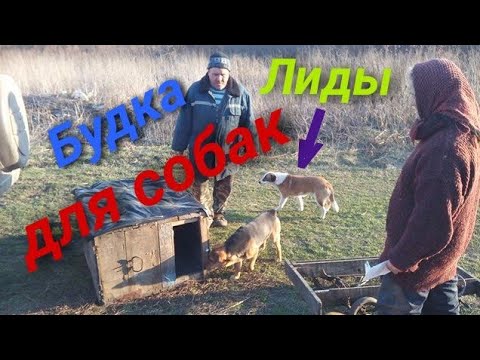 Видео: Будка для собак.Сделал будку собакам.