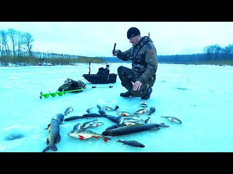 Видео: Щука была на втором плане! А вот цель была найти ПОЛОСАТЫХ КАБАНОВ!!!