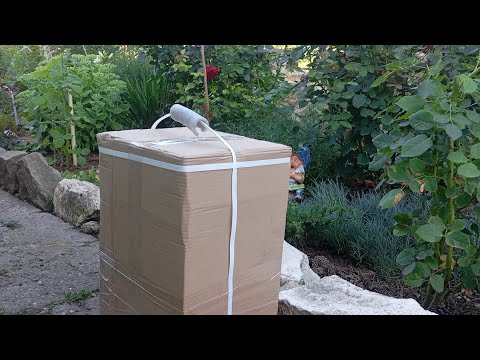 Видео: Вперше від Тетянин Сад🎉Нові троянди🌹Барбарис, кизильник🌿🇺🇦