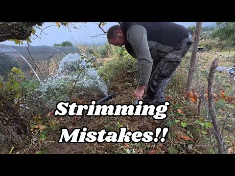 Видео: Перевозка свиней, ремонт инструментов и поломка вещей - 279