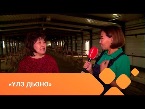Видео: «Үлэ дьоно» биэриигэ: «I-кы Күүлэт» кооператив туһунан (13.09.21)
