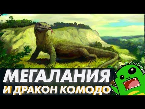 Видео: МЕГАЛАНИЯ И ДРАКОН КОМОДО - когда ящерица охотится на слона