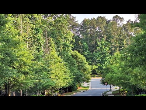 Видео: Американцы для меня - это Вежливые, Доброжелательные, Спокойные люди, а не " тупые" как Задорнов 🤔