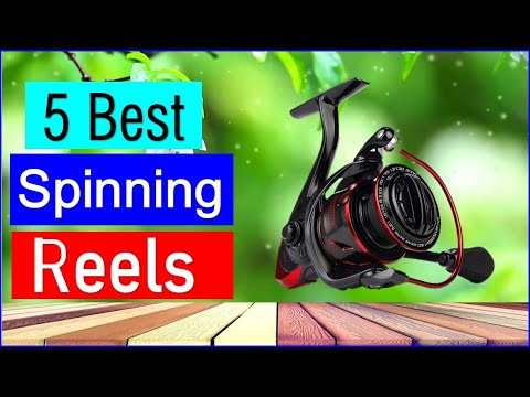 Видео: Лучшие спиннинговые катушки 2025 года | Топ-5 лучших спиннинговых катушек — обзор