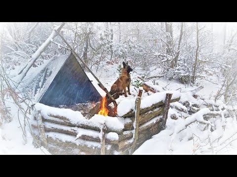 Видео: Попался в шторм - Зимний кемпинг в метель с моей собакой - Выживание