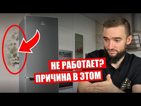 Видео: Почему Indesit не морозит? 7 причин, о которых молчит инструкция