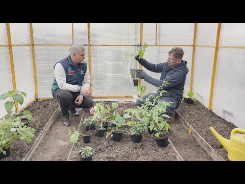 Видео: Вести.Интервью: Владислав Кундасев, агроном
