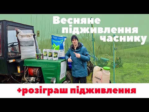 Видео: Щоб часник не жовтів. Весняне підживлення часнику + розіграш добрив