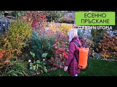 Видео: ЕСЕННО ПРЪСКАНЕ на овошки, лози и декоративни растения: #Ден 59 от 90 ДНИ НА СЕЛО