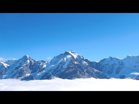 Видео: Ця мелодія поверне тобі справжній різдвяний настрій