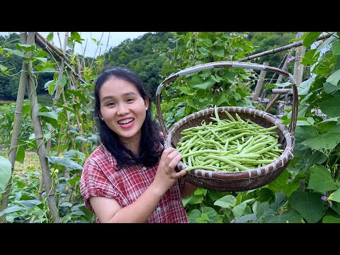 Видео: Приготовьте горшочек тушеной лапши со зеленой фасолью,и вся семья будет очень вкусно наслаждаться ею