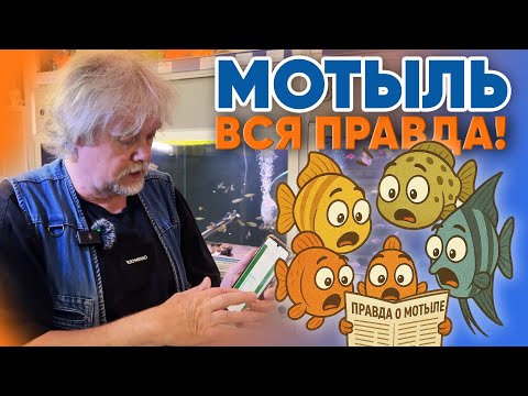 Видео: Аквариумные новости с Владимиром Ковалёвым (11.07.2025). Мотыль - ВСЯ ПРАВДА.