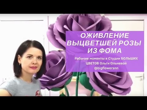 Видео: ОЖИВЛЕНИЕ ВЫЦВЕТШЕЙ РОЗЫ ИЗ ФОМА.  Рабочие моменты в Студии БОЛЬШИХ ЦВЕТОВ Ольги Ольневой