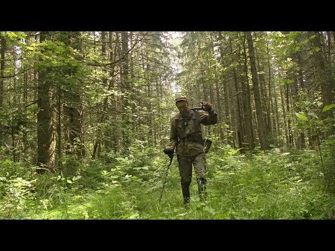 Видео: Поисковый сборник №5 #247