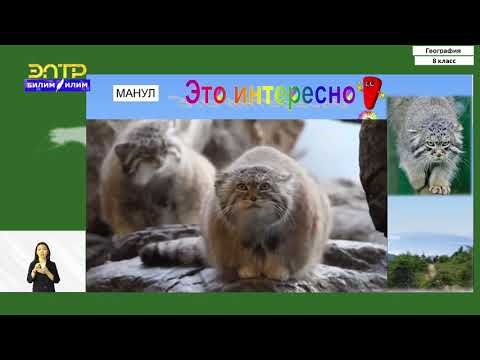 Видео: 8-класс | География | Животный мир КР. Редкие и исчезающие животные