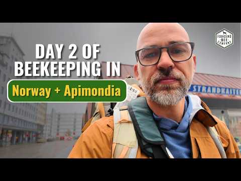 Видео: День 2: Пчеловодство в Норвегии и другие приключения Апимондии 2025