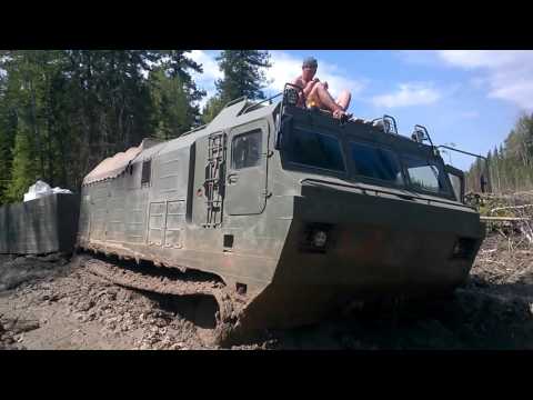 Видео: ДТ30 витязь в тайге по бездорожью