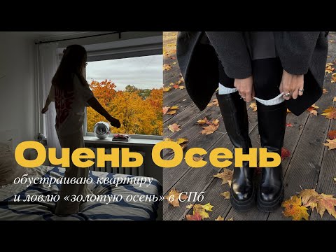 Видео: Осень в Санкт-Петербурге: покупки для дома и рутинная жизнь