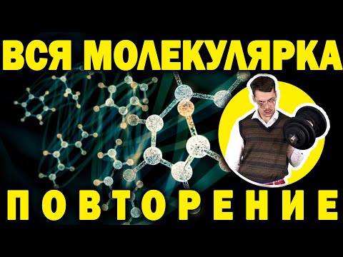 Видео: Повторение всей молекулярной физики ЕГЭ