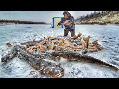 Видео: ЭТО НЕВОЗМОЖНО! ТАКОЕ ТОЛЬКО ЗДЕСЬ! УХОЖУ В ЗАТОПЛЕННЫЙ ЛЕС! РЫБАЛКА КАК В СКАЗКЕ!