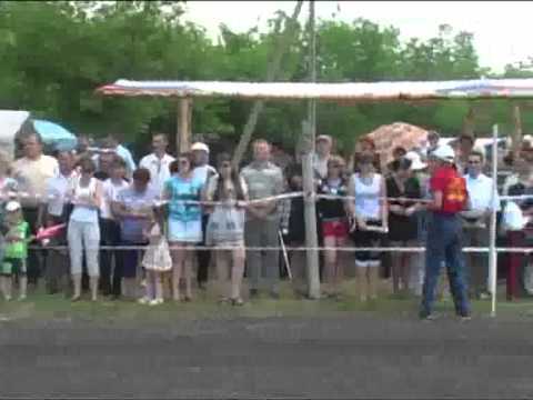 Видео: скачки.flv