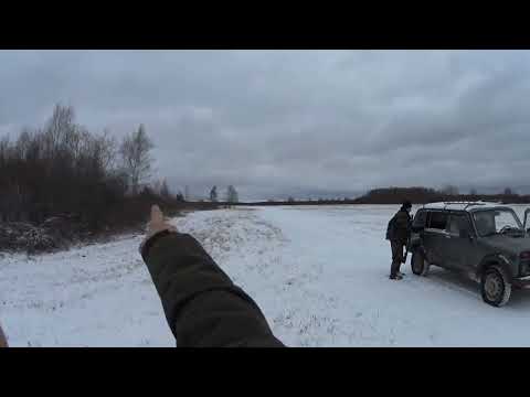 Видео: Удачное открытие охоты на зайца.05.11.24
