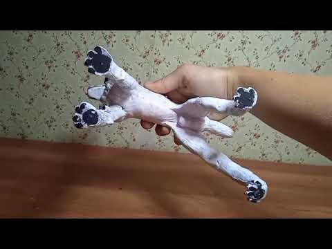 Видео: моё первое видео на моем первом канале, я новенькая, люблю лепить собак волков\собаки\волки\