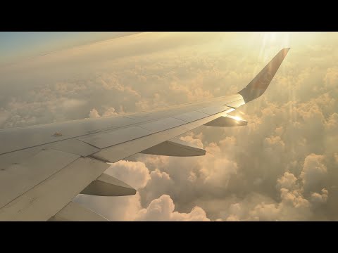 Видео: Turkish Airlines • Airbus A320-232 • TC-JPP (ливрея Star Alliance) • Красивый взлёт из Стамбула