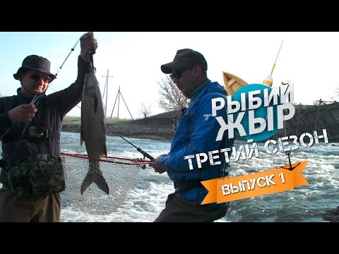 Видео: Ловля жереха и голавля весной на малой реке. Рыбалка 2016. Рыбий Жыр. 3 сезон 1 выпуск.