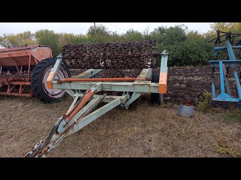 Видео: БДТ НА ПРОДАЖ котки продано