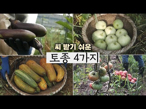 Видео: 4 родных семени, которые будут передаваться из поколения в поколение