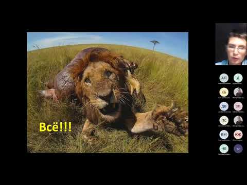 Видео: Неолиберализм Неоконсерватизм