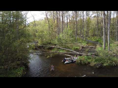 Видео: ОСЕНЬ. ТАЙГА. ГОРНАЯ РЕКА. ДИКИЕ ЗВЕРИ. РЫБАЛКА в дали от людей