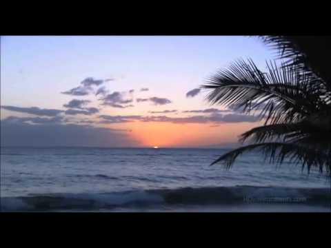 Видео: Павел КАШИН - Море