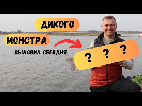Видео: ЧУТЬ НЕ ОСТАЛСЯ БЕЗ УДОЧКИ. ФИДЕРНАЯ РЫБАЛКА С НЕ ОЖИДАННЫМ КОНЦОМ...