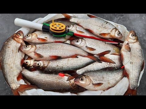 Видео: ТАКИМИ МЕТОДАМИ Я ЕЕ ЕЩЕ НЕ ЛОВИЛ! зимняя рыбалка на крупную плотву 2022