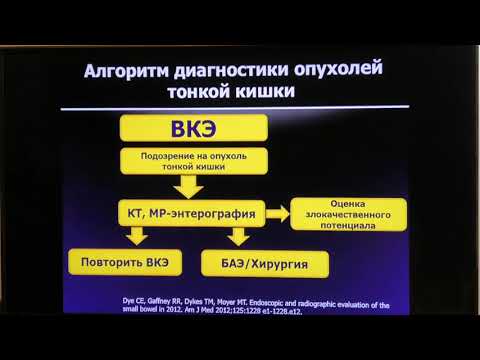 Видео: 07 Иванова ЕВ Рак тонкой кишки   эксклюзив или зона изучения