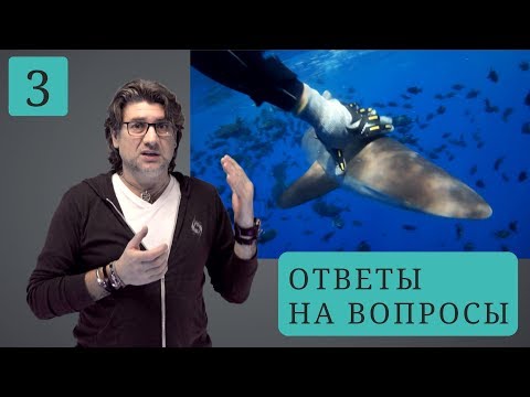 Видео: Q&A#3. Как не бояться акул, смерть фридайвера
