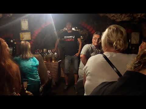 Видео: Неизвестное Закарпатье. #4.1 "Семейный Подвал Параски." Часть 2