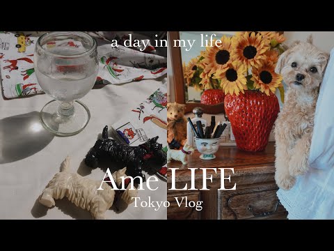 Видео: влог ｜ Утренняя рутина ｜ Ежедневная еда ｜ Покупки ｜ ДОСТАВКА ｜ Кафе ｜ Токио ｜ рутина
