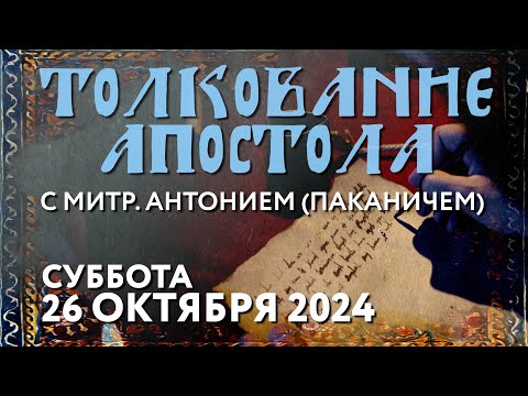 Видео: Суббота, 26 октября 2024 года. Толкование Апостола с митр. Антонием (Паканичем).