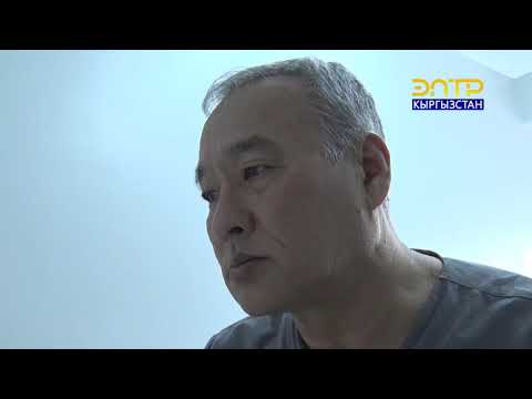 Видео: Кесипке жол // дарыгер вертебролог