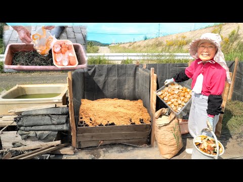 Видео: Не тратьте ничего зря | Как 81-летняя японская бабушка превращает пищевые отходы в сокровище