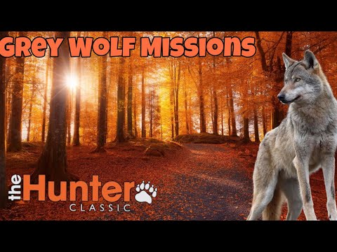 Видео: The hunter classic Grey Wolf Missions! Охота на волка! Выполняем миссии!