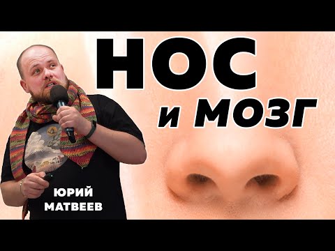 Видео: Как работает обоняние / биолог Юрий Матвеев