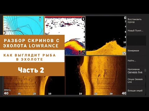 Видео: Как выглядит рыба в эхолоте? Часть 2. Разбор скринов с эхолота Lowrance HDS Live 9", Elite Ti2 9".